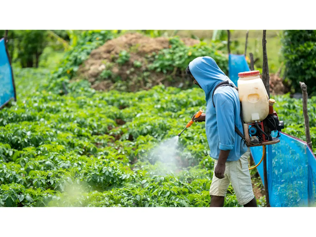 Argentina adopts ninth revision of UN chemical safety standard for pesticide and agrochemicals labels Image